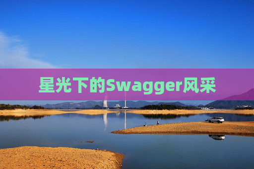 星光下的Swagger风采